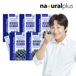 [총 75포] 내츄럴플러스 통째로 블루베리 퓨레 100 15포 5박스 / 미국산 안토시아닌 스틱 즙 주스