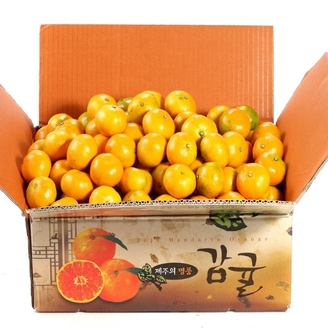 조은돌담 제주  하우스감귤 45kg 랜덤과