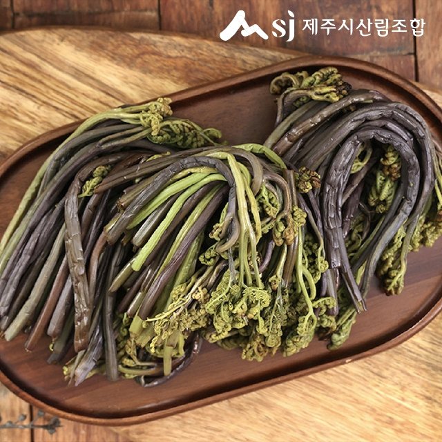 [제주시산림조합] 25년 햇 제주나물세트(고사리 5팩 + 부지깽이 5팩)