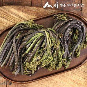 [제주시산림조합] 25년 햇 제주나물세트(고사리 5팩 + 부지깽이 5팩)