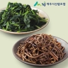 [제주시산림조합] 25년 햇 제주나물세트(고사리 5팩 + 부지깽이 5팩)