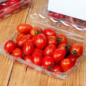 [JGR Fresh] 국내산 스테비아 방울토마토 500g x 3팩