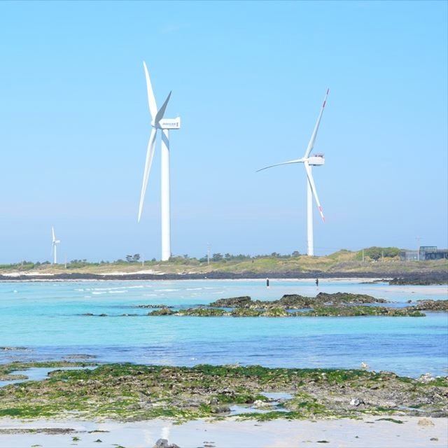 제주도의 겨울+가파도 갓성비 3박 4일(199,000원~)