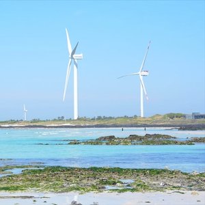 제주도의 겨울+가파도 갓성비 3박 4일(199,000원~)