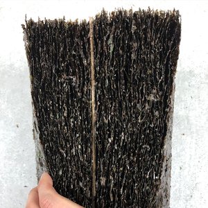 청정해역 신안 햇 곱창김 400g 잇바디돌김 곱창돌김 100매 x 1봉