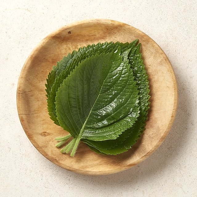 [새벽시장][우리가락]깻잎 5묶음