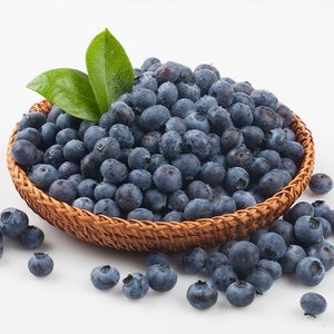 칠레산 블루베리 생과