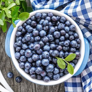 칠레산 블루베리 생과
