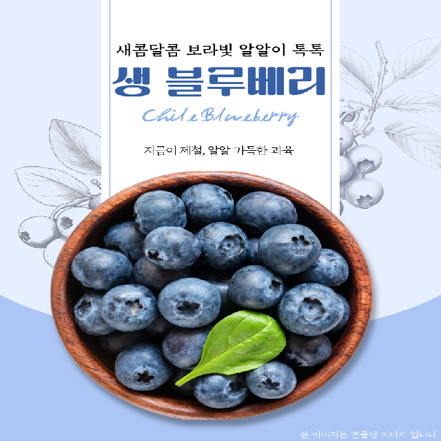 칠레산 블루베리 생과