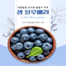 칠레산 블루베리 생과