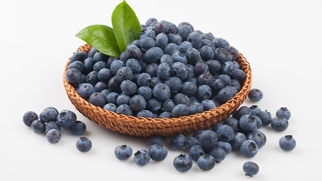 칠레산 블루베리 생과