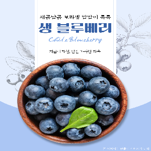 칠레산 블루베리 생과