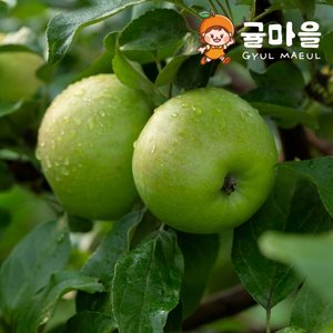 /goods/950/23599950_l.jpg