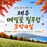 [JS투어] 가을감성 제주여행 4일(파격균일가! 199,000원)