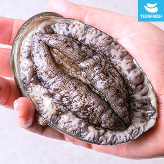 완도활전복 1kg 9-10미(미당100g내외) [산소팩, 무료배송]