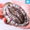 완도활전복 1kg 9-10미(미당100g내외) [산소팩, 무료배송]