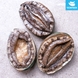 완도활전복 1kg 7-8미(미당125g내외) [산소팩, 무료배송]