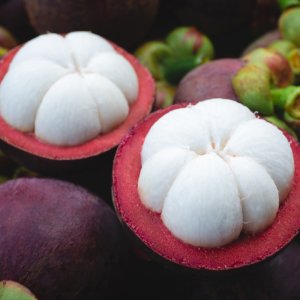 달콤한 망고스틴 2kg