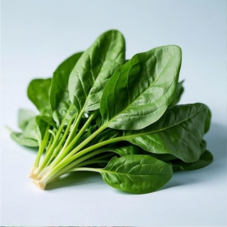 귤마을 국내산 시금치 2kg내외