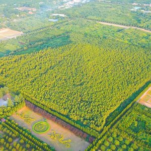 하나투어 3천년 고도 서안(대한항공+5성 쉐라톤+핵심관광)