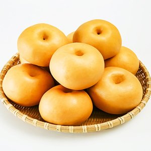25년 수확 가정용 햇배 5kg 내외 11-13입