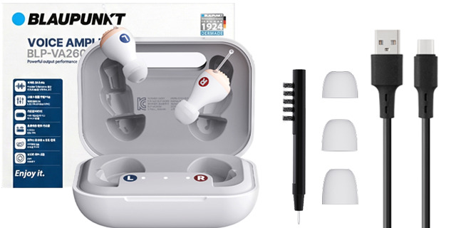 블라우풍트 음성증폭기