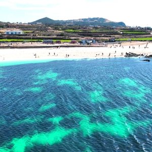 [허니제주] 제주 감성카페 투어 3박 4일