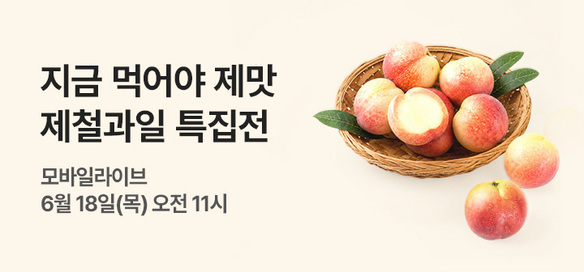 [기획전] 라이브방송